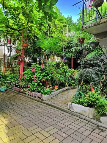 . Гостевой дом «Светлана». Совет-Квадже