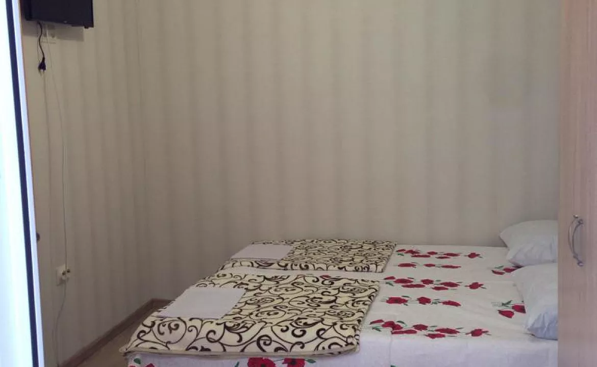 2-х местный. Гостевой дом Надежда в Гаграх. Гагра