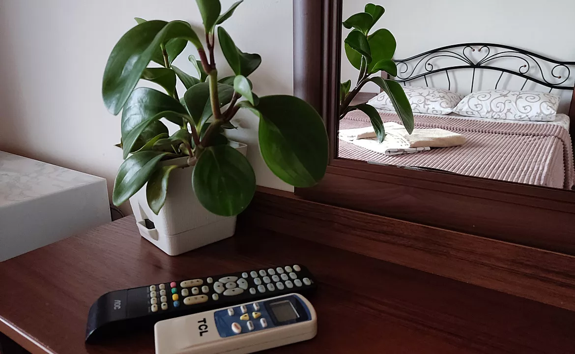 Двухместный с удобствами и балконом. Гостевой дом "Одиссей" - Кабардинка. Кабардинка Двухместный с удобствами и балконом. Гостевой дом "Одиссей" - Кабардинка. Кабардинка