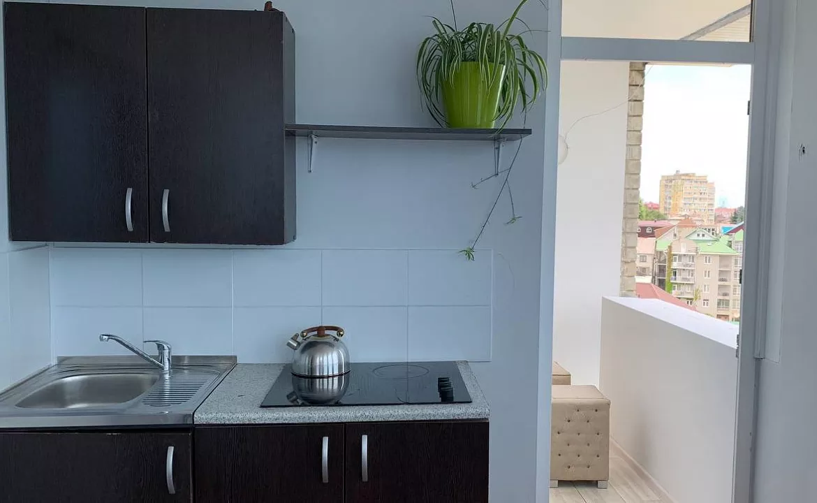 Студио с балконом. Гостевой дом "Агава". Лазаревское