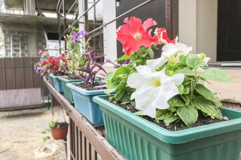 . Гостевой дом Smile Hotels. Вардане