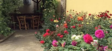 Отель "Морская Крепость" Отель "Морская Крепость"