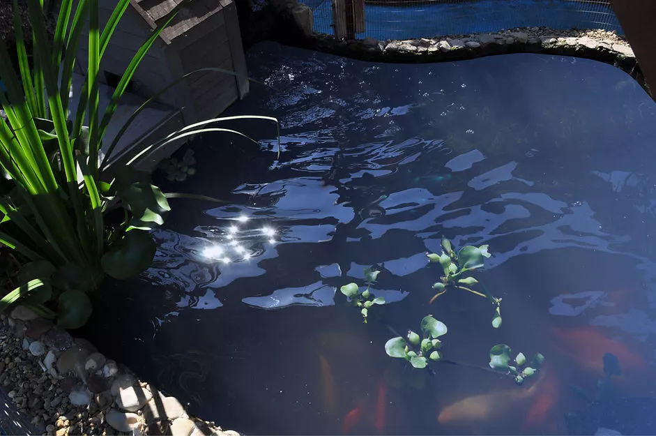 . Гостевой дом "СЕДЬМОЕ НЕБО" . Геленджик . Гостевой дом "СЕДЬМОЕ НЕБО" . Геленджик