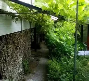 Гостевой дом Частный сектор "У Леса"