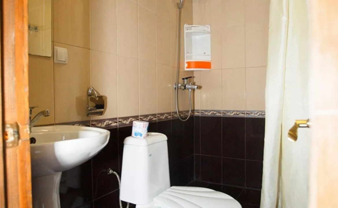 Люкс. Гостевой дом Зодиак. Орджоникидзе