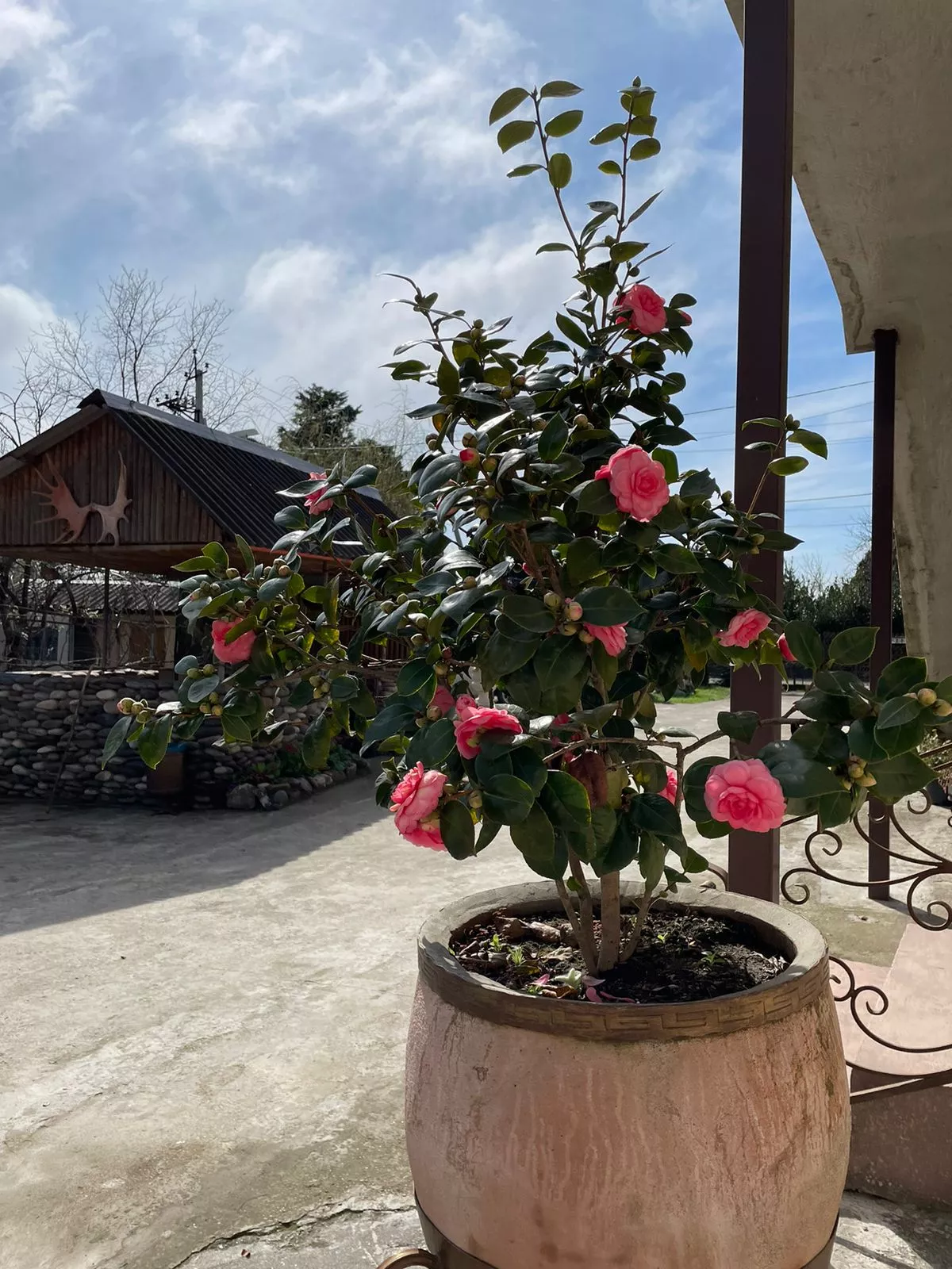 . Гостевой дом ЭЙВА. Пицунда