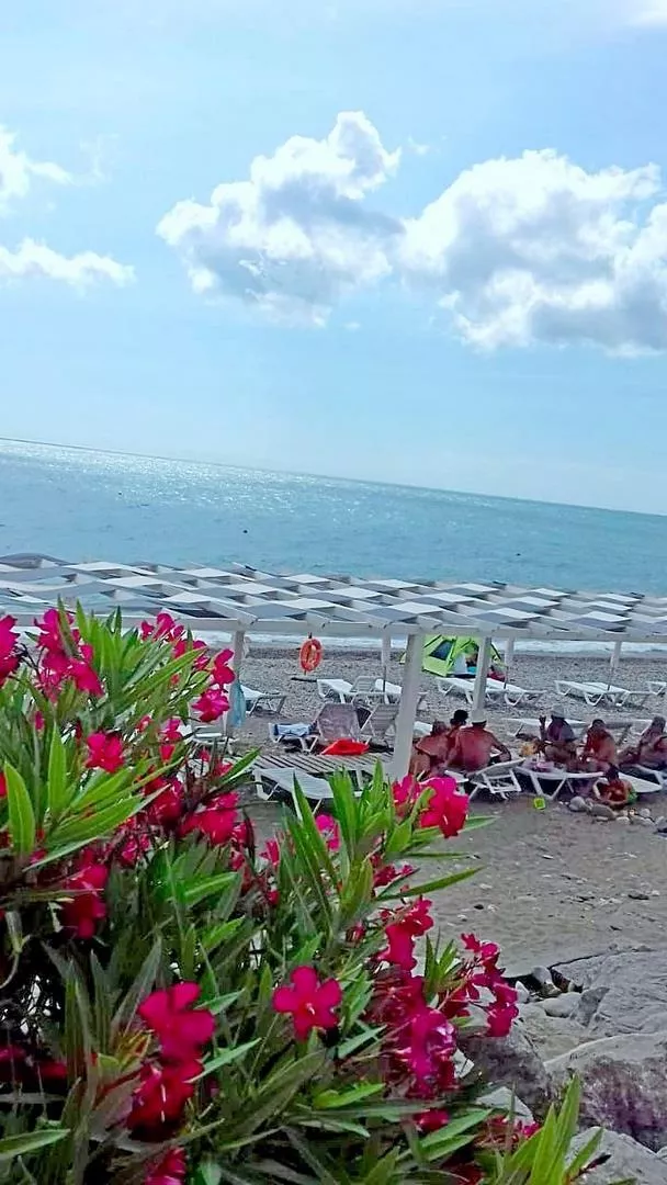 . Частный сектор "На Добролюбова 4а". Гостевые дома в Лазаревском . Частный сектор "На Добролюбова 4а". Гостевые дома в Лазаревском