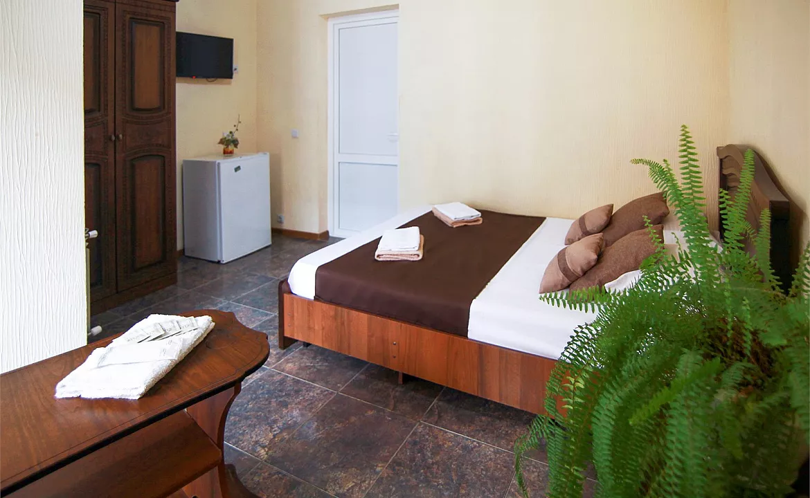 Стандарт двухместный с креслом. Гостевой дом «Алоиза». Лоо