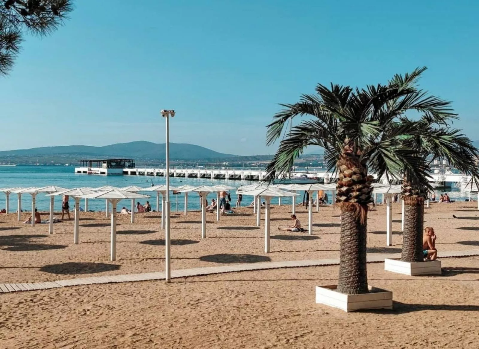 . Гостевой дом Среди пицундских сосен. Геленджик