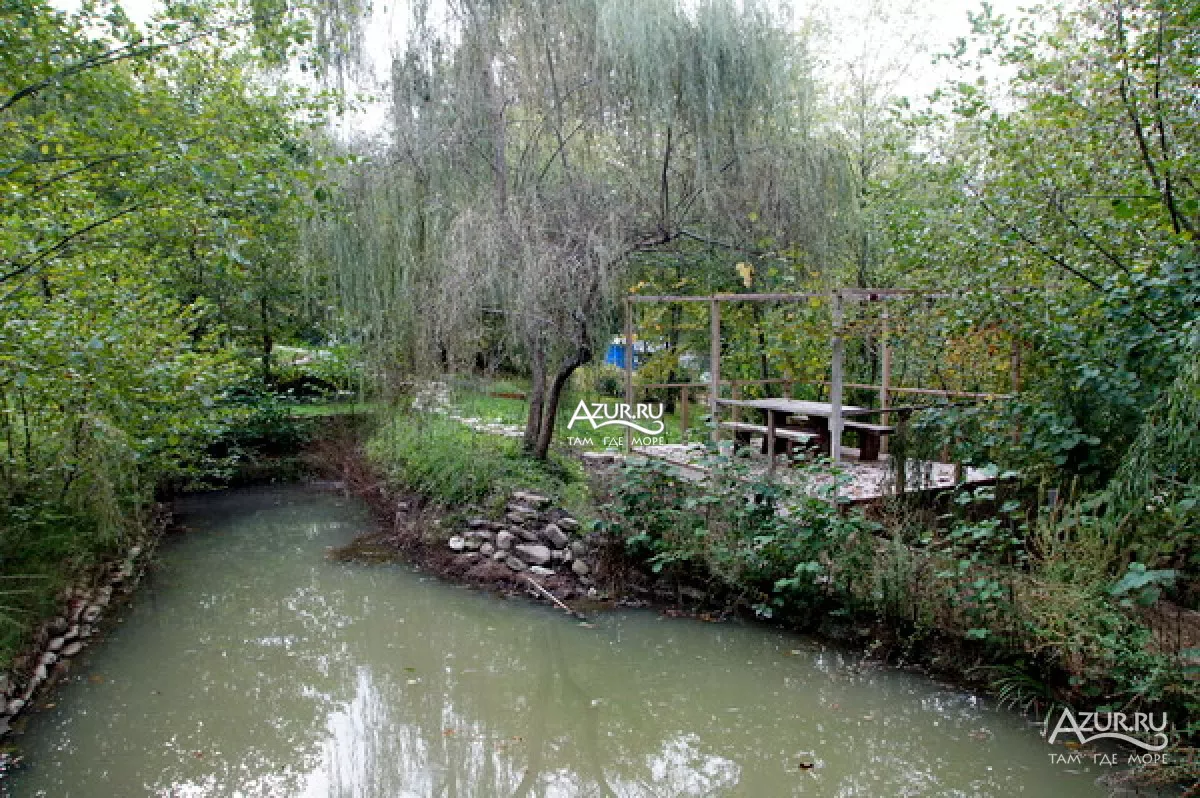 . База отдыха "Алексеевка". Лазаревское