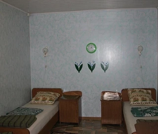 2-х местный номер Эконом. Частный сектор "Green House" . 2-х местный номер Эконом. Частный сектор "Green House" .