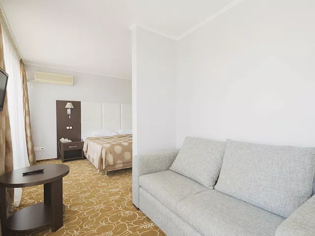 Однокомнатный двухместный номер улучшенной планировки с двуспальной кроватью и диваном. Отель "Магнолия". Сочи