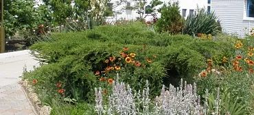 Пансионат Малахит - Благовещенская