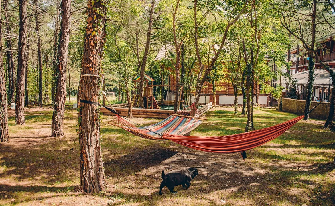 Полулюкс. Гостевой дом "Усадьба" - Голубая бухта. Голубая бухта