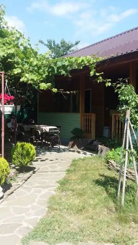 . Частный сектор У Амира. Головинка