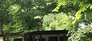 Гостевой дом Ручеек