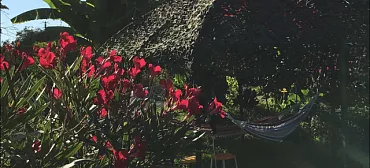 Гостиница «Святая Абхазия» Гостиница «Святая Абхазия»