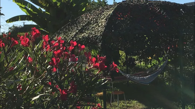 . Гостиница «Святая Абхазия». Пицунда