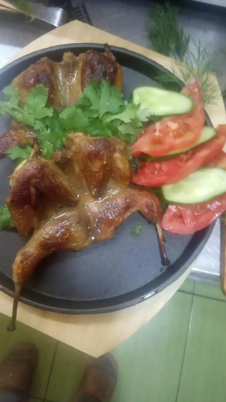 . База отдыха "Скурча". Сухум