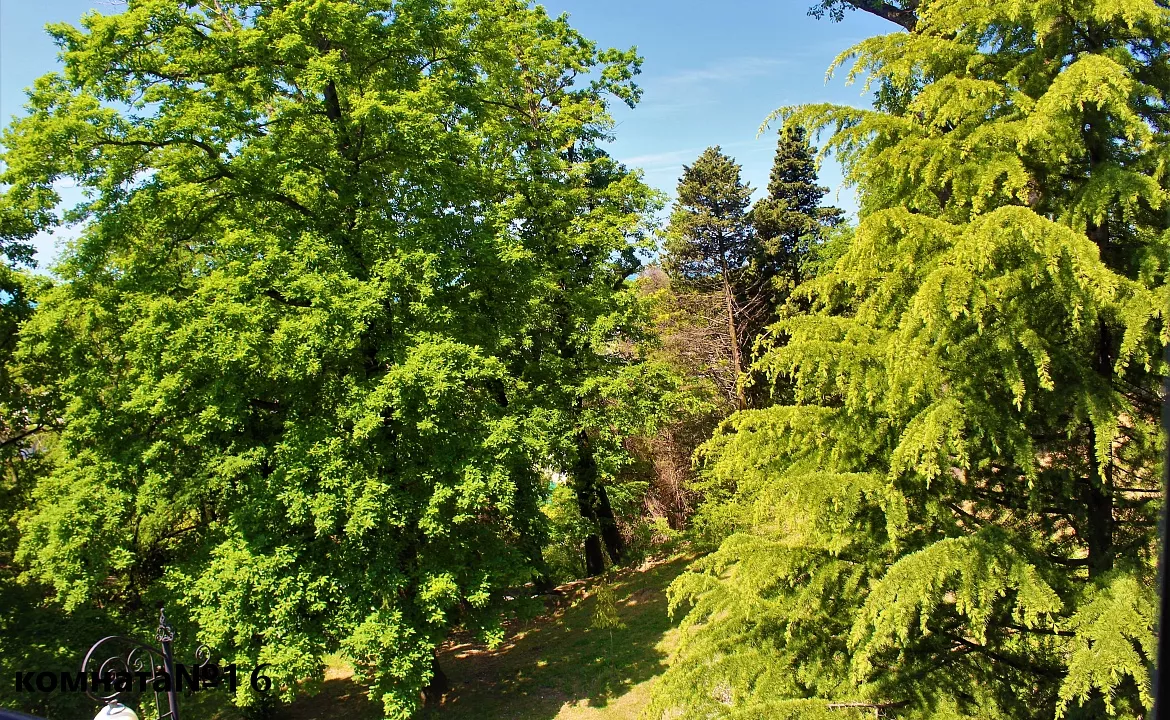 №16. Гостевой дом "ЖЕМЧУЖИНА" - Лазаревское. Лазаревское №16. Гостевой дом "ЖЕМЧУЖИНА" - Лазаревское. Лазаревское