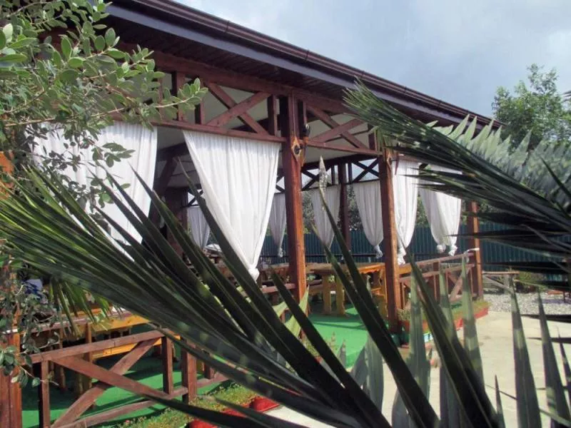 . Гостевой дом "У дед Самвела". Пицунда . Гостевой дом "У дед Самвела". Пицунда