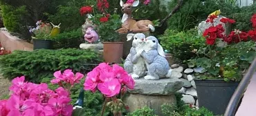 Частный сектор "Райский уголок" - Хоста