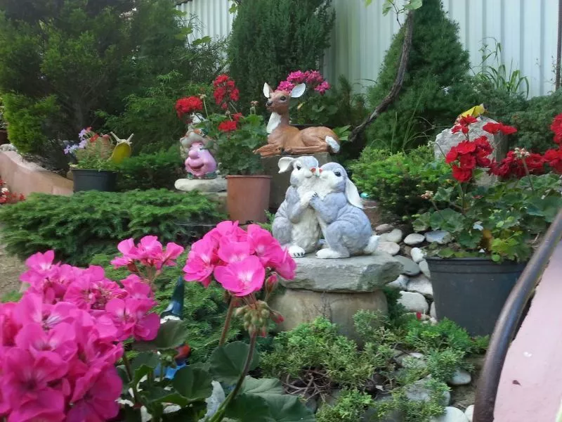 . Частный сектор "Райский уголок" - Хоста. Хоста