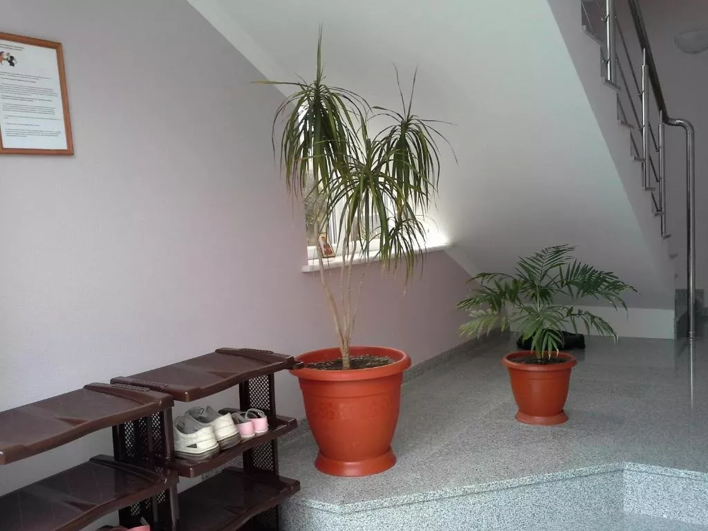 . Гостевой дом Светлана-Люкс. Якорная Щель