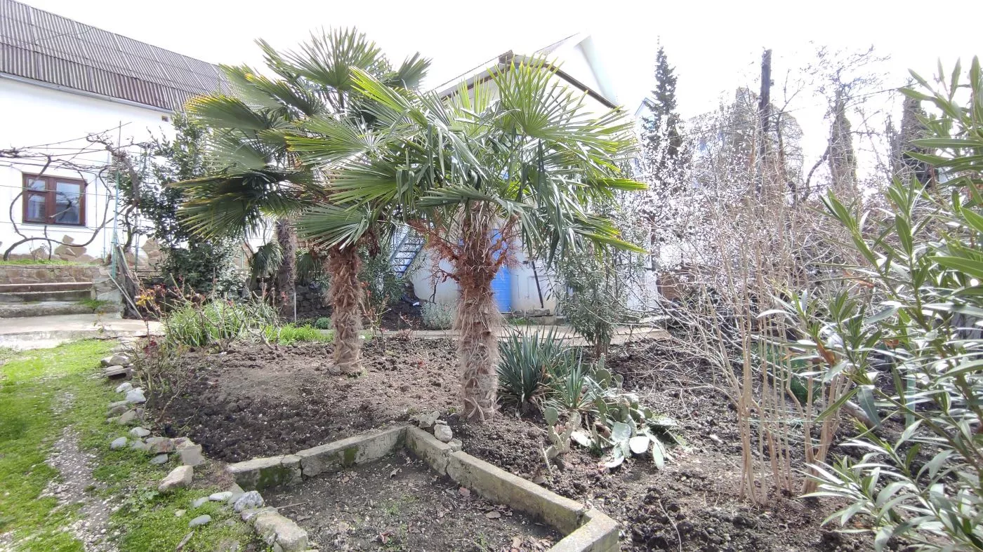 . Гостевой дом Green Patio. Рыбачье