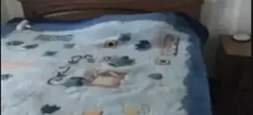 Гостевой дом Дом на Эшба 