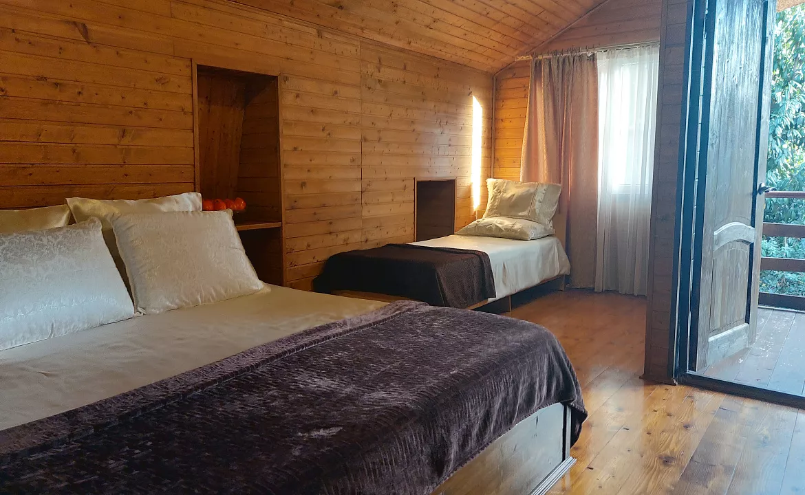 стандарт. Гостевой дом КАМЕЛИЯ. Пицунда