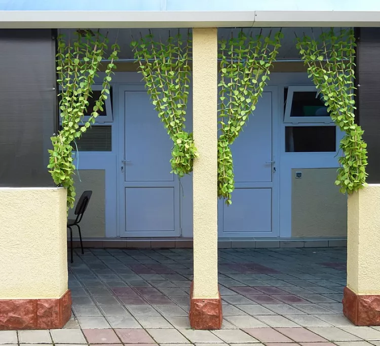 . Частный гостевой дом НатальЯ. Голубицкая . Частный гостевой дом НатальЯ. Голубицкая