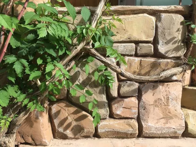 . Гостевой дом Семейный - Лазаревское. Лазаревское