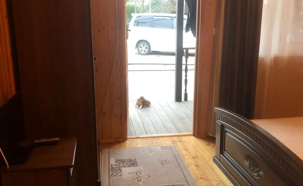 Стандарт 2хместный. "Delis" (Делис). Гагра