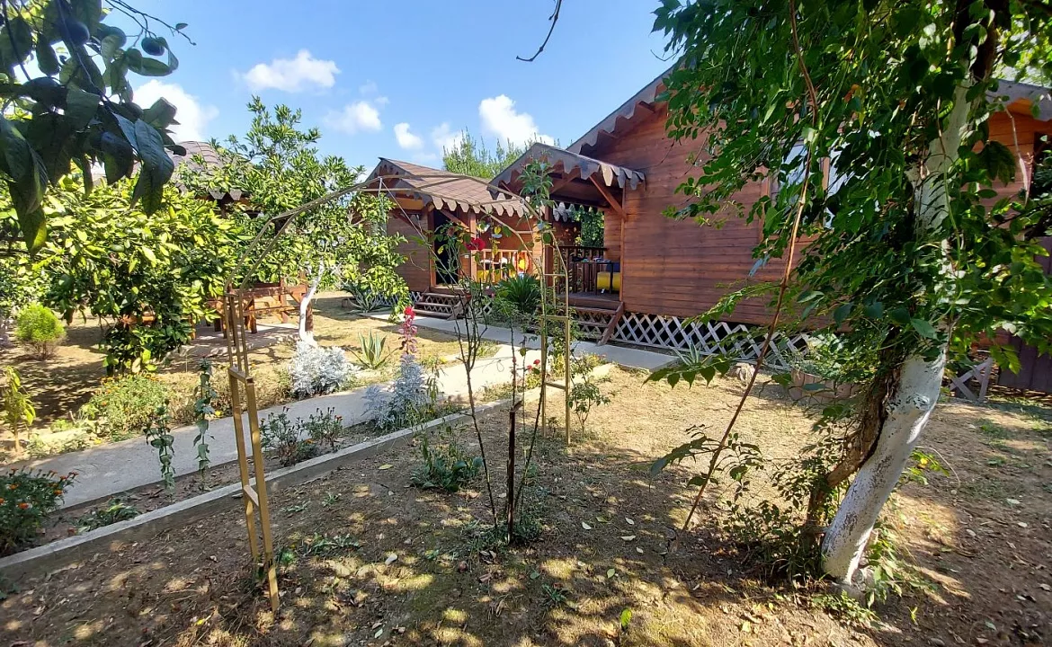 отдельный домик. Гостевой дом КАМЕЛИЯ. Пицунда