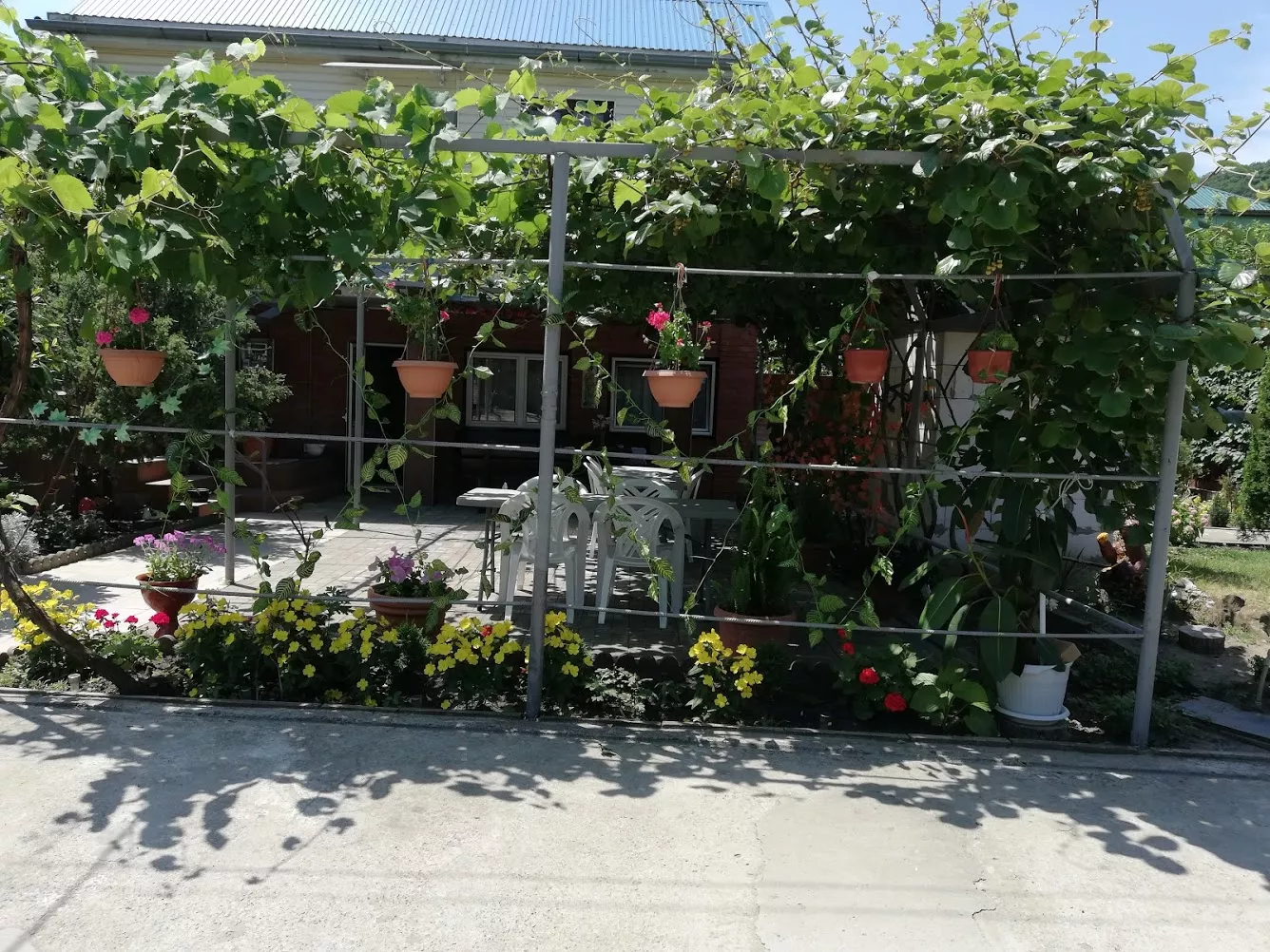 . Гостевой дом "Сибирячка". Ольгинка