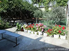 Частный сектор «У Ануш» Частный сектор «У Ануш»