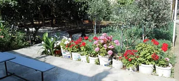 Частный сектор «У Ануш»