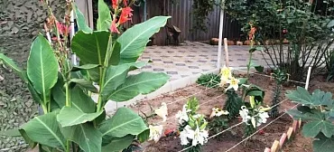 Дом под ключ Коммунистическая 67 