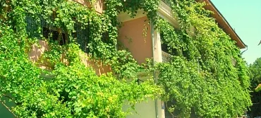 Пансионат Малахит - Ялта Пансионат Малахит - Ялта
