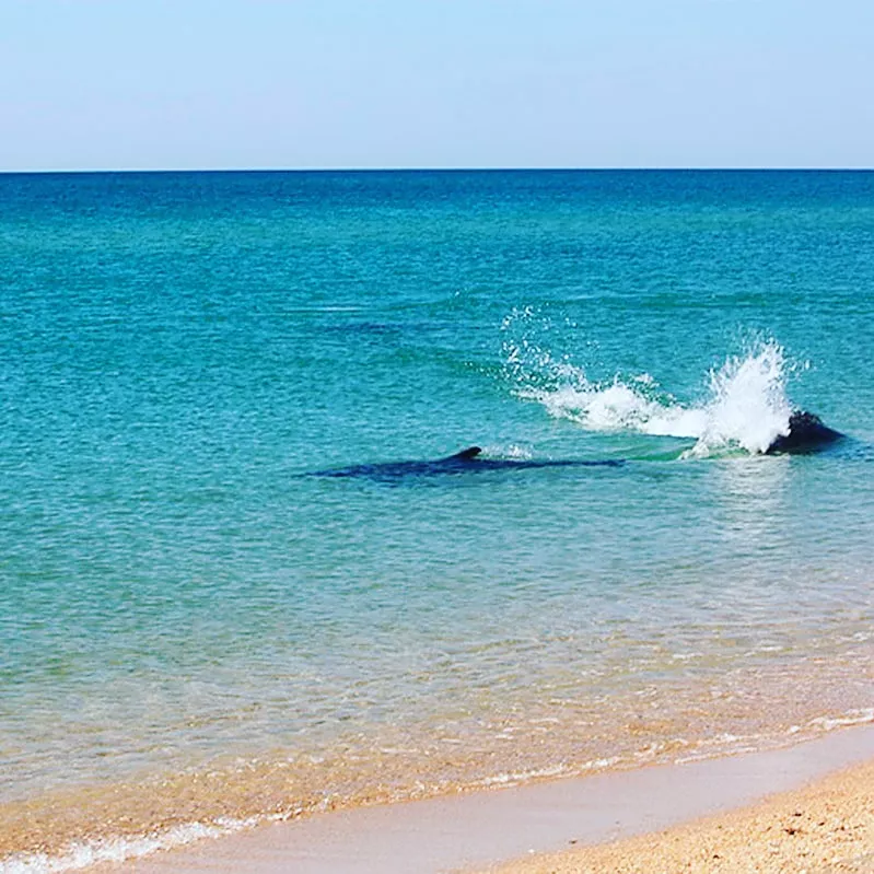 . База отдыха "Ставрополье1". Благовещенская