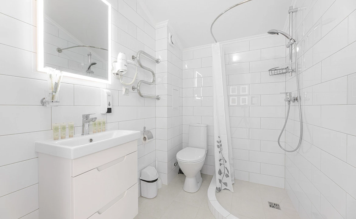 стандарт трехместный мансарда. Отель отель Авис. Криница