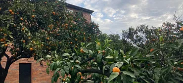 Гостевой дом "Феникс"