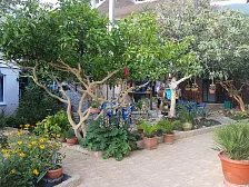 Гостевой дом "Уютный дворик" Гостевой дом "Уютный дворик"