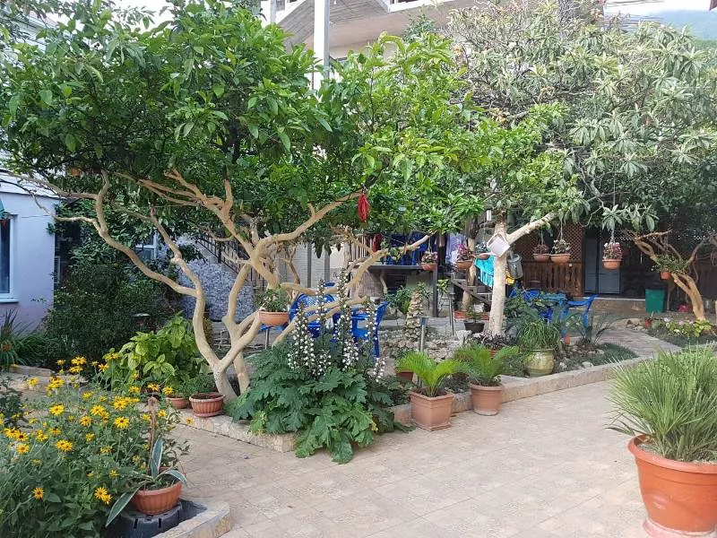 . Гостевой дом "Уютный дворик". Гагра