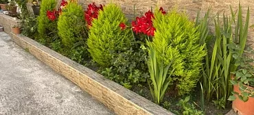 Гостевой дом Kosmos