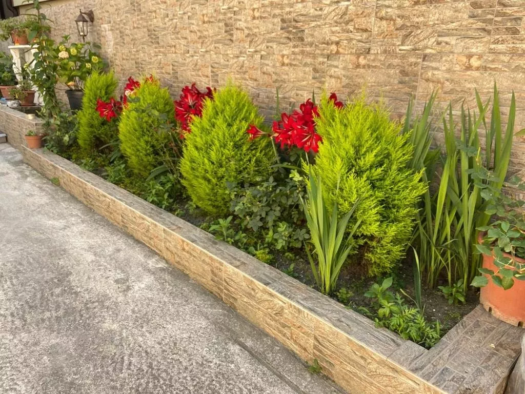 . Гостевой дом Kosmos. Адлер