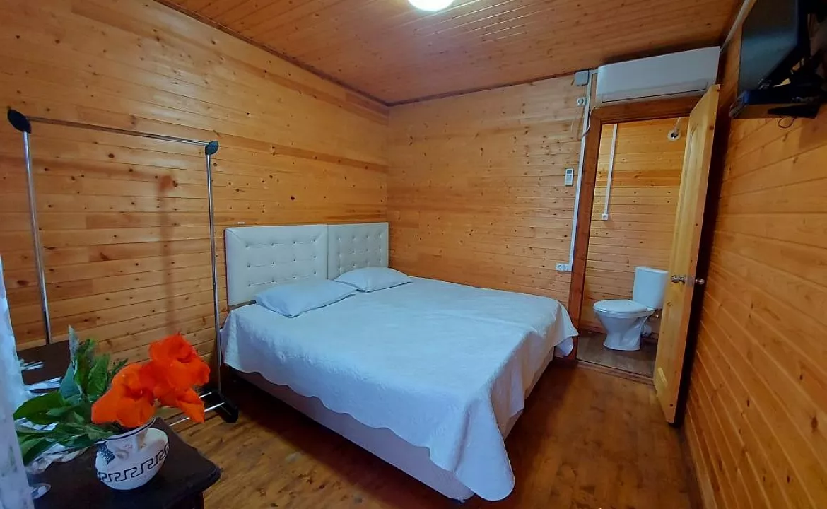 Двухместный стандарт . Гостевой дом гостевой дом Новая Гагра. Гагра