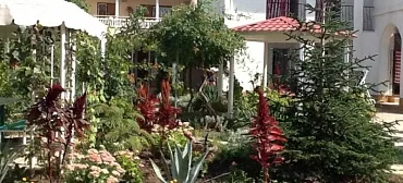 Вилла "Вояж" Вилла "Вояж"