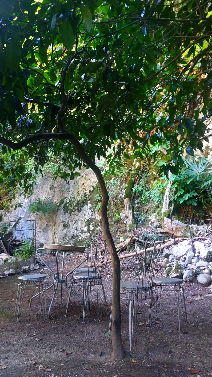 . Дом в районе Старая Гагра. Гагра